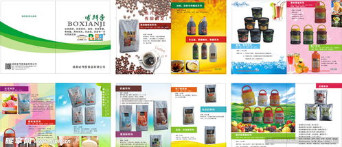 融合科技與美學 食品畫冊設計與定制化軟件開發的雙重創新